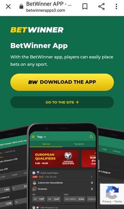 Betwinner Bookmaker For Business: The Rules Are Made To Be Broken